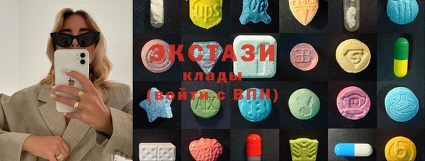 крисы Алексин