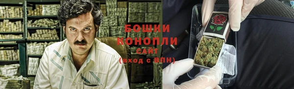 дживик Елабуга