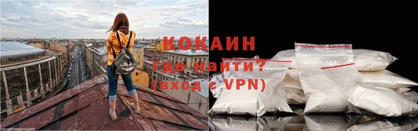 крисы Алексин