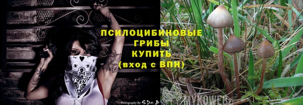 ECSTASY Алексеевка