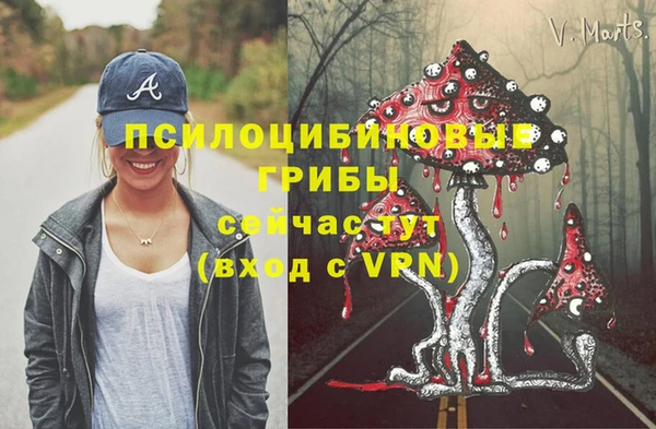 МДПВ Ельня