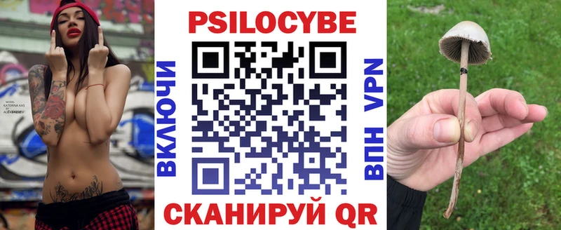 blacksprut онион  даркнет сайт  Черкесск  Галлюциногенные грибы ЛСД 